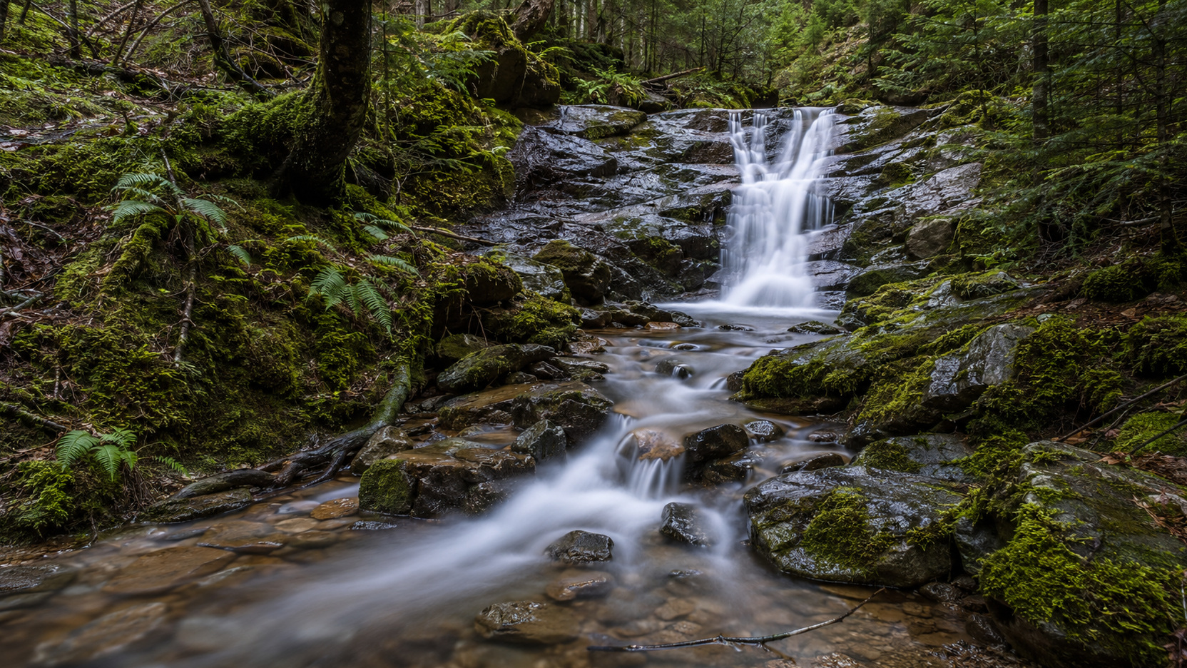 Waldwasserfall mit weich fliessendem Wasser und scharf gezeichneten Felsen
